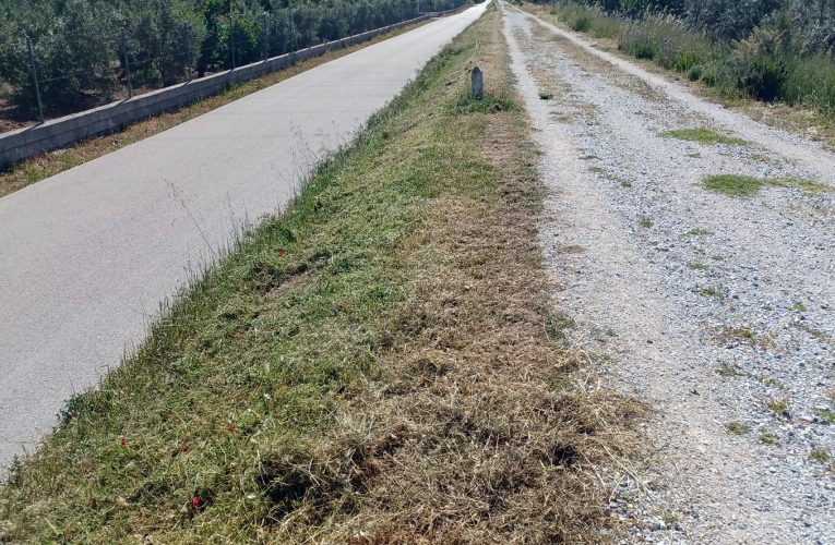 La concejalía de Agricultura reanuda el arreglo de caminos rurales y continúa con el desbroce de la vía verde y caminos