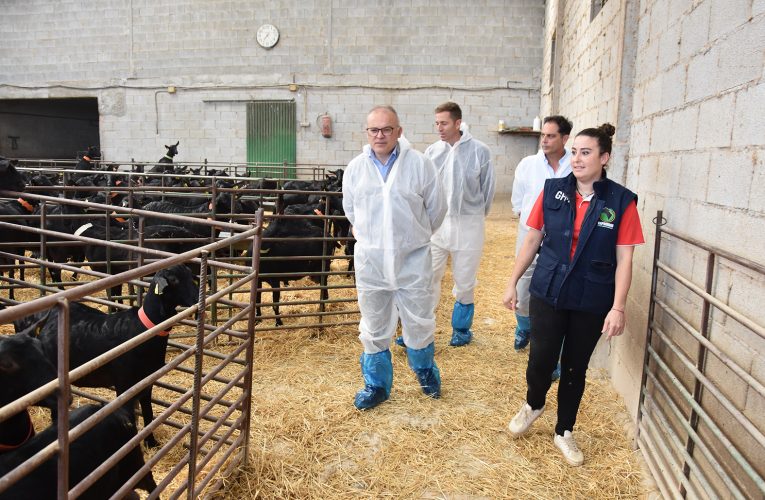 El Ayuntamiento de Baza reafirma su respaldo y su compromiso con la mujer rural – Excmo. Ayuntamiento de Baza