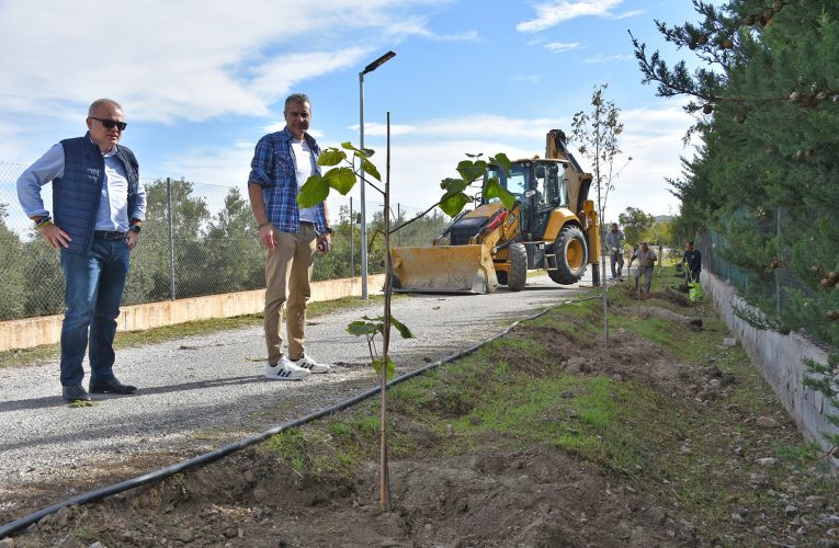 La concejalía de Medio Ambiente planta 120 árboles en un tramo de la vía verde, a los que se ha colocado también el sistema de riego para garantizar su supervivencia