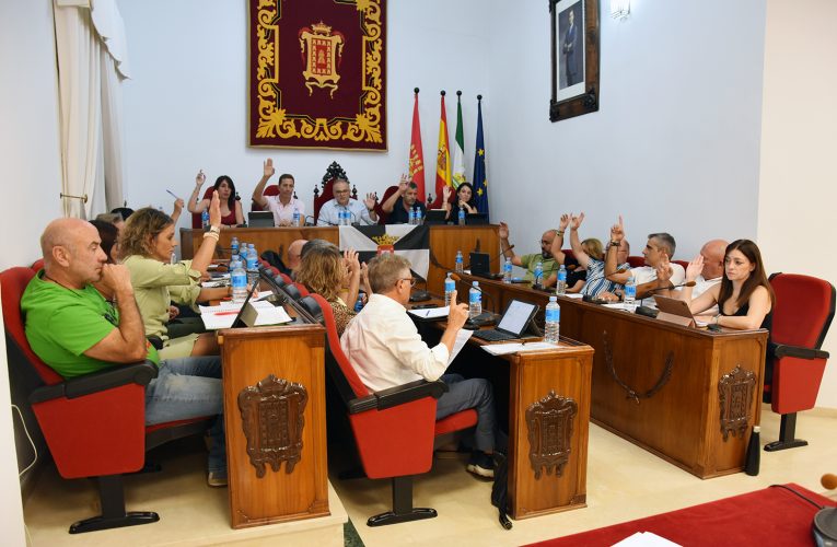 El Ayuntamiento de Baza crea el Consejo Local de Infancia y Adolescencia y aprueba su reglamento – Excmo. Ayuntamiento de Baza